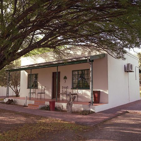 Вилла Olive Grove Guest Farm Бофорт-Уэст Экстерьер фото