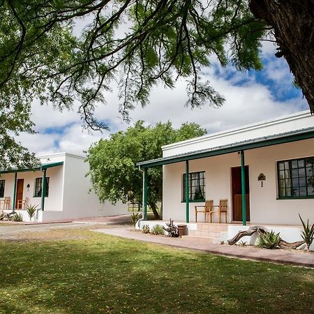 Вилла Olive Grove Guest Farm Бофорт-Уэст Экстерьер фото