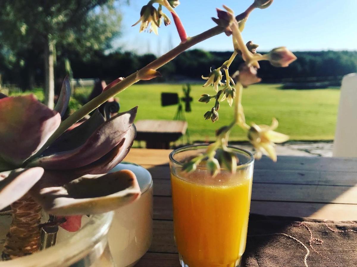Вилла Olive Grove Guest Farm Бофорт-Уэст Экстерьер фото