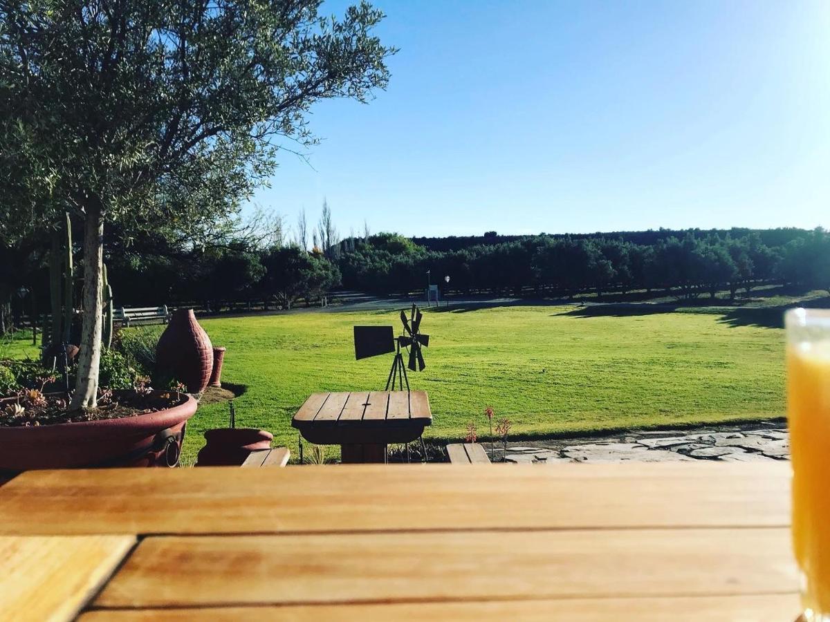 Вилла Olive Grove Guest Farm Бофорт-Уэст Экстерьер фото