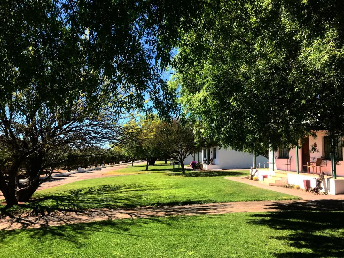 Вилла Olive Grove Guest Farm Бофорт-Уэст Экстерьер фото