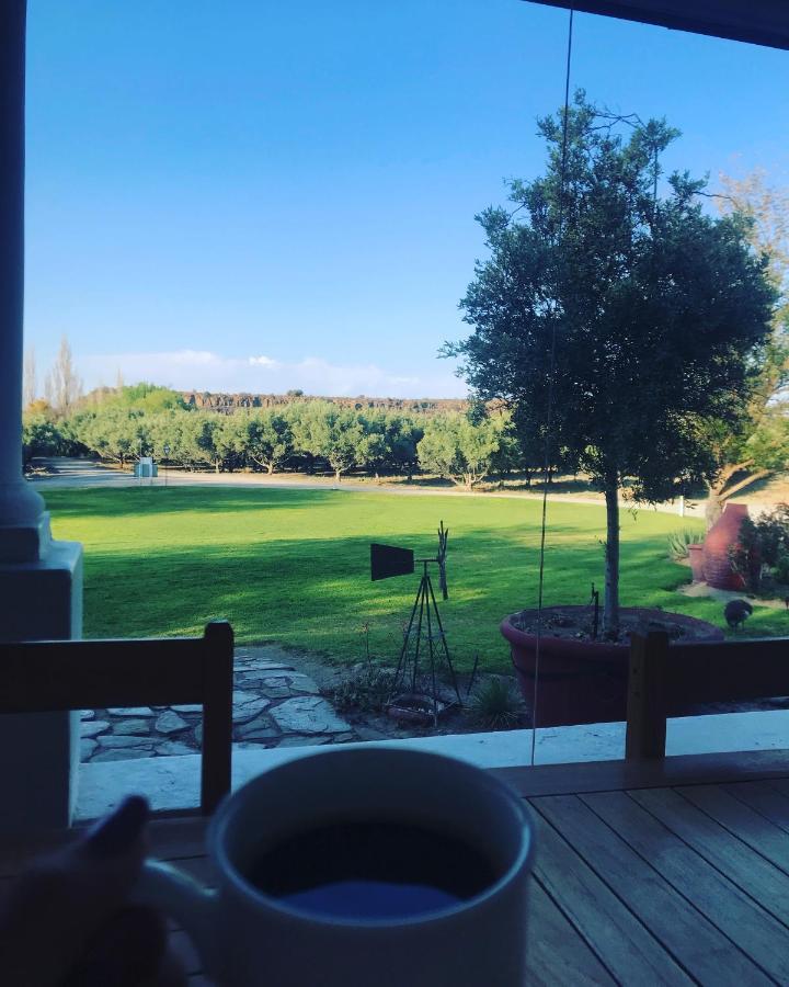 Вилла Olive Grove Guest Farm Бофорт-Уэст Экстерьер фото
