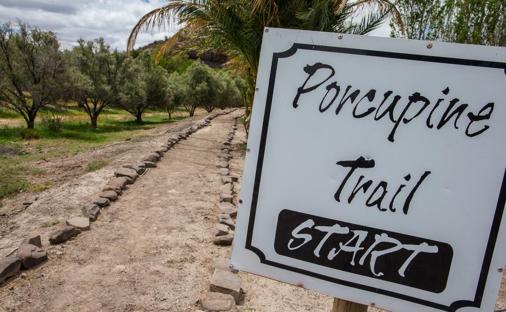 Вилла Olive Grove Guest Farm Бофорт-Уэст Экстерьер фото