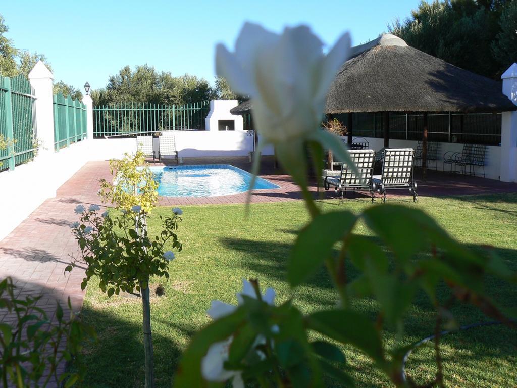 Вилла Olive Grove Guest Farm Бофорт-Уэст Номер фото