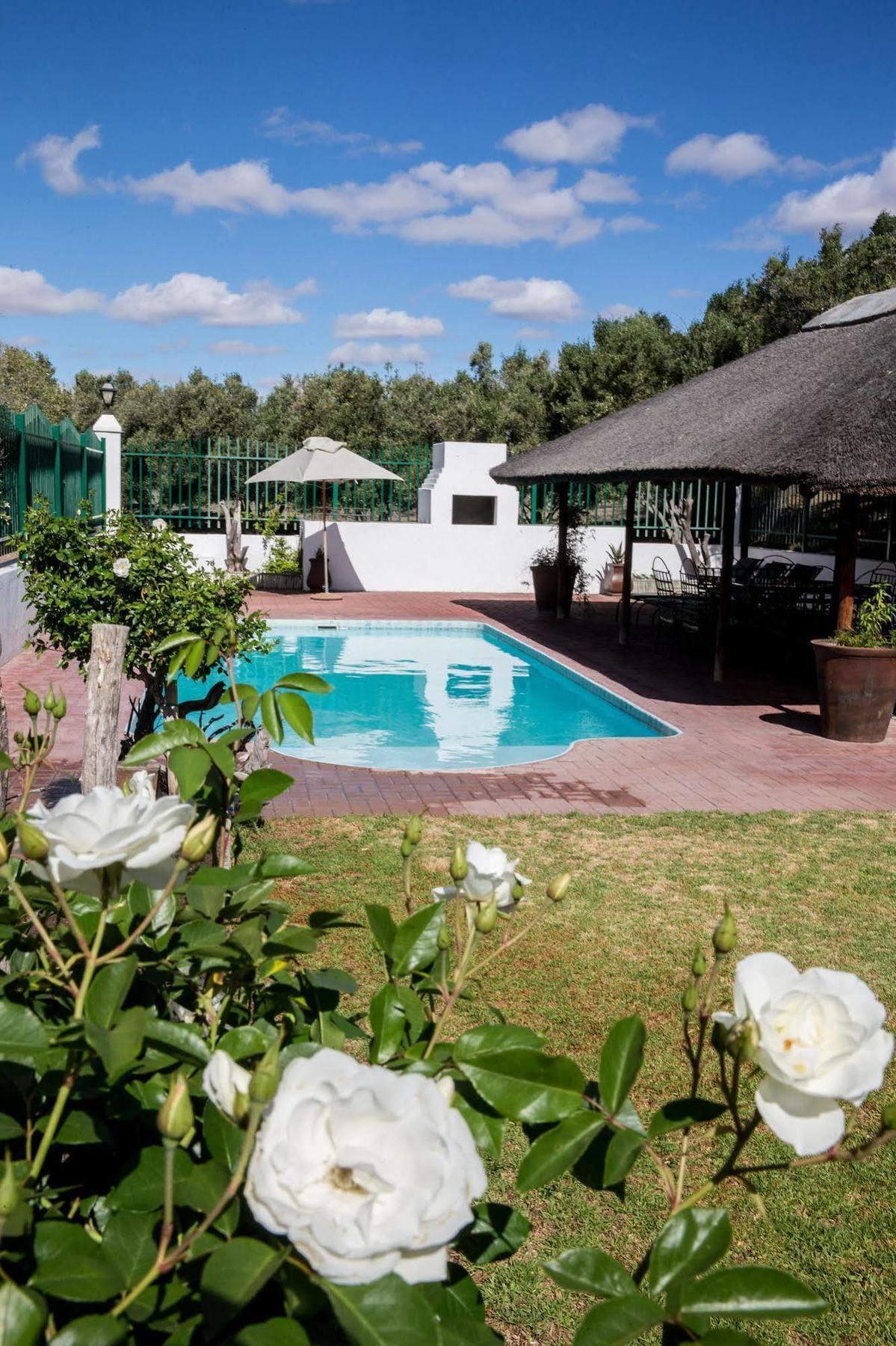 Вилла Olive Grove Guest Farm Бофорт-Уэст Экстерьер фото