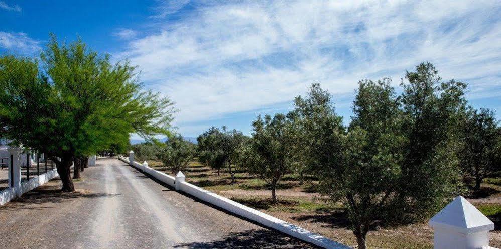 Вилла Olive Grove Guest Farm Бофорт-Уэст Экстерьер фото